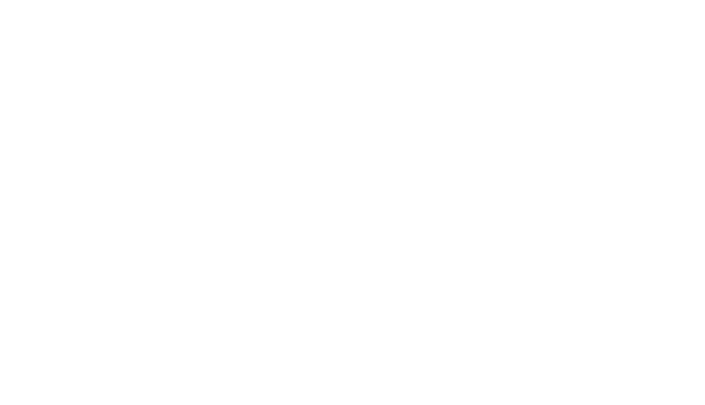 INDO Skate